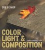 Color Light  Composition A Photographer's Guide