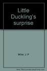 Little Duckling's surprise