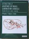 Colour Atlas Of the Anatomy Of Small Laboratory Animals Rat Mouse Golden Hamster