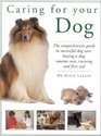 Caring for Your Dog The Comprehensive Guide to Successful Dog Care