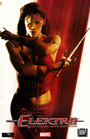 Elektra The Official Movie Adaptation
