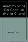 Anatomy of the Ear Chart