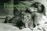 Frenemies Cats Dogs and Lessons in Getting Along