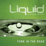 Fork in the Road (Liquid)