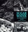 Sugar Water Hawaii's Plantation Ditches