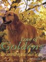 Love of Goldens Eine Liebserklarung an den Golden Retriever