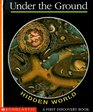 Hidden World:  Under the Ground (A First Discovery Book)