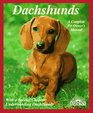 Dachshunds How to Understand and Take Care of Them