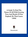 A Guide To Find The Names Of All Wild Growing Trees And Shrubs Of New England By Their Leaves