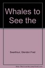 Whales to See The