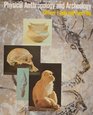 Physical anthropology and archeology