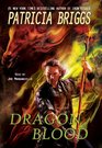 Dragon Blood  Hurog Series Book 2