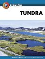 Tundra