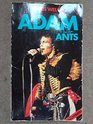 ADAM AND THE ANTS