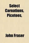 Select Carnations Picotees