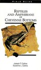 Reptiles and Amphibians of Cheyenne Bottoms