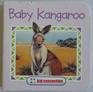 Baby Kangaroo (Kid Connection)
