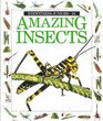 Amazing Insects