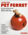 Training Your Pet Ferret