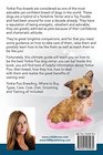 Yorkie Poo as Pets Yorkie Poo Breeding Where to Buy Types Care Cost Diet Grooming and Training all Included A Complete Yorkie Poo Owner's Guide