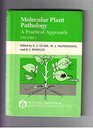 Molecular Plant Pathology A Practical Approach