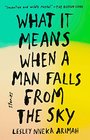 What It Means When a Man Falls from the Sky Stories