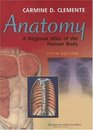 Anatomy A Regional Atlas Of The Human Body