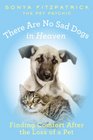 There Are No Sad Dogs in Heaven Finding Comfort After the Loss of a Pet
