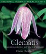 The Royal Horticultural Society Clematis  Inspiration Selection and Practical Guidance