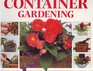 Creative Step by Step Guide to Container Gardening