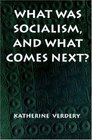 What Was Socialism and What Comes Next