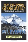 JawDropping Geography Fun Learning Facts About Magnificent Mount Everest Illustrated Fun Learning For Kids