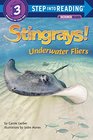 Stingrays Underwater Fliers