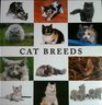 Cats Breeds AS NEW OVERSIZE