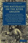 The Naturalist on the River Amazon A Record of Adventures Habits of Animals Sketches of Brazilian and Indian Life and Aspects of Nature under the Equator  Library Collection  Life Sciences