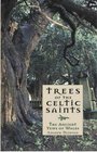 Trees of the Celtic Saints - the Ancient Yews of Wales