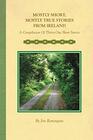 Mostly Short, Mostly True Stories from Ireland: A Compilation Of Thirty-One Short Stories