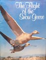 The flight of the snow geese