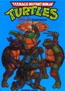 Teenage Mutant Ninja Turtles PopUp Storybook