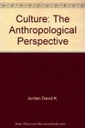 Culture The anthropological perspective