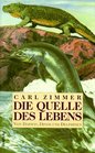 Die Quelle des Lebens Von Darwin Dinos und Delphinen