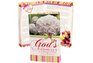 God's Promises to a Woman's Heart Devotion Books