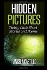 Hidden Pictures Twisty Little Short Stores and Poems