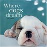 Where Dogs Dream