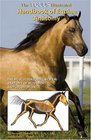 The Equus Illustrated Handbook of Equine Anatomy The Musculoskeletal System The Anatomy of Movement and Locomotion