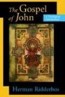 The Gospel of John A Theological Commentary