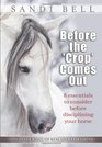Before the 'Crop' Comes Out 8 Essentials to Consider Before Disciplining Your Horse