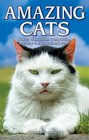 Amazing Cats Stories of Intuition Compassion Mystery  Extraordinary Feats