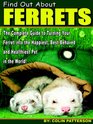 Find Out About Ferrets The Complete Guide to Turning Your Ferret Into the Happiest BestBehaved and Healthiest Pet in the World