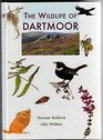 The Wildlife of Dartmoor